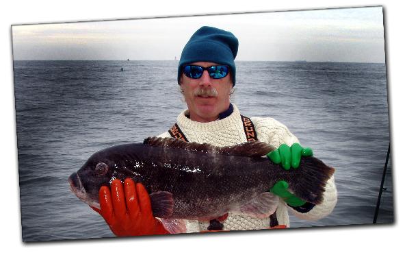Bob Sullivam catches
                      a nice 12 lb 6oz Tautog off the wrecks!